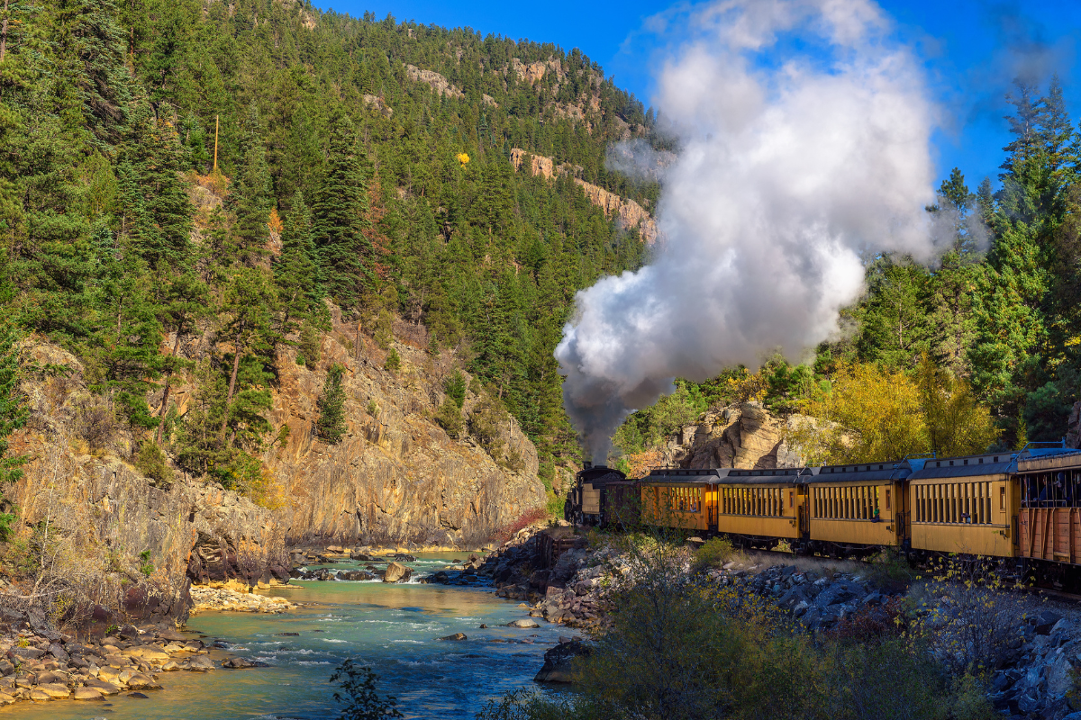 a train traveling down train tracks near a forest