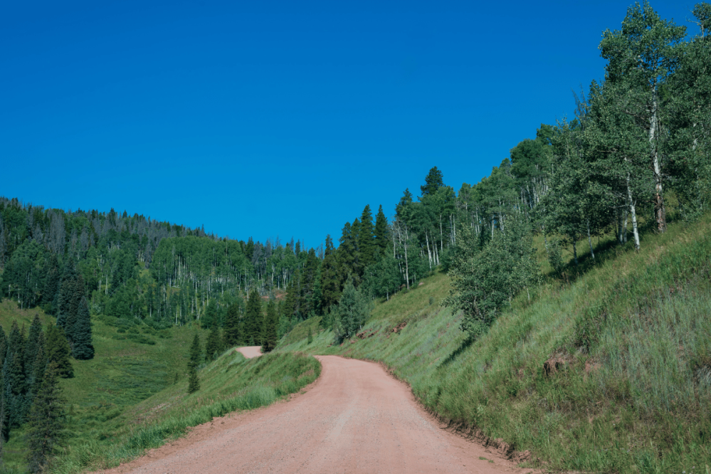 a dirt road through the Colorado Mountains