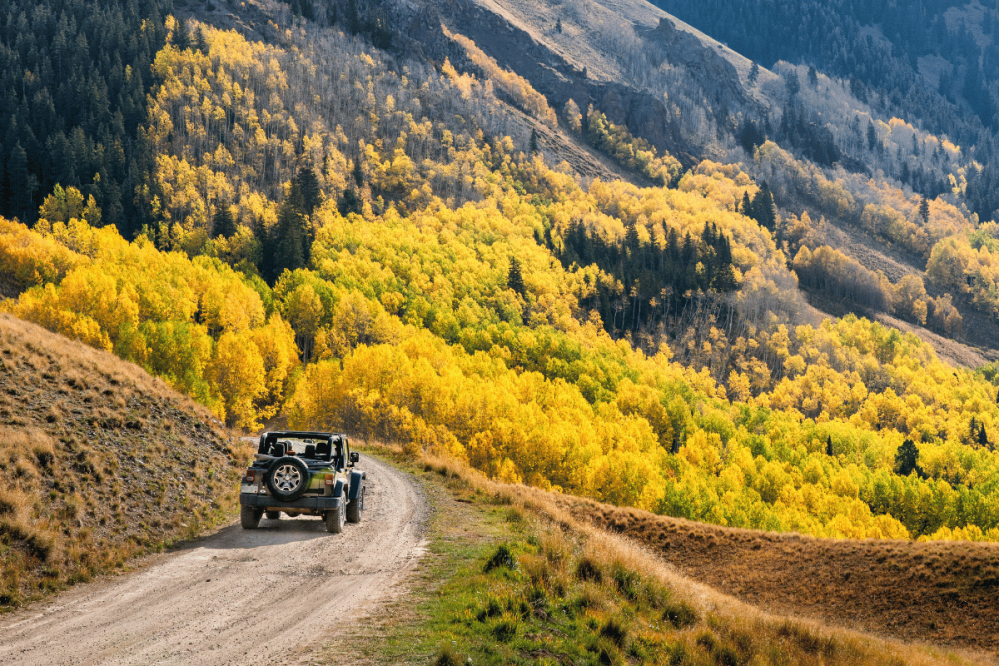 a jeep driving on a dirt road in the Rocky Mountains with fall colors in the trees